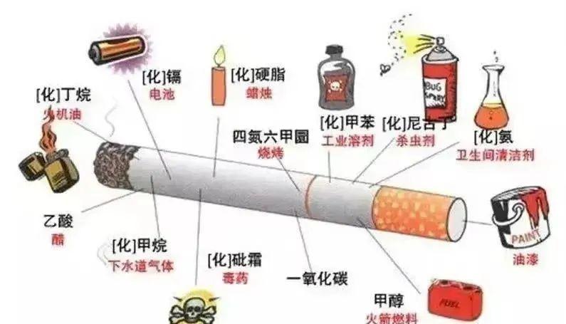 拒绝烟草诱惑,对第一支烟说不——第38个“世界无烟日”知识宣传及倡议 - 知乎
