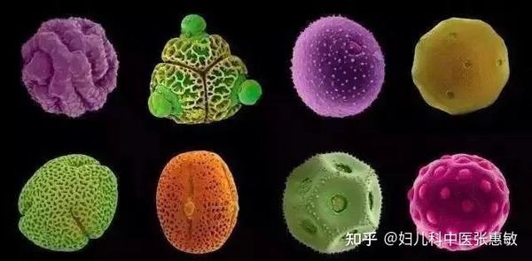 花粉症为什么会引起五官和皮肤的瘙痒 解答患者提问 知乎