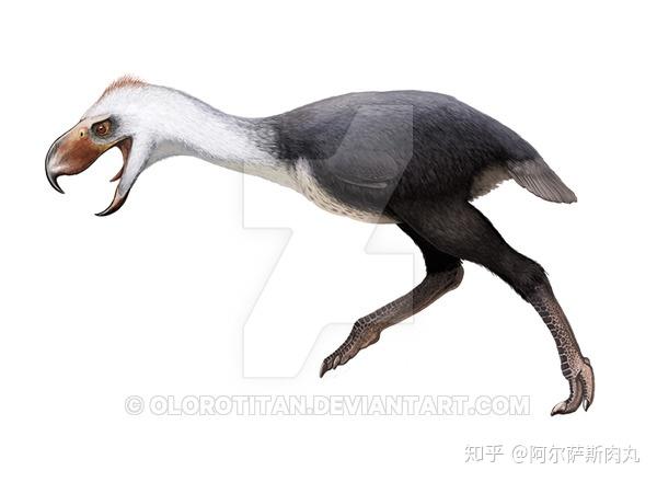 prehistoricpark丨史前公园1巨鸟奔腾骇鸟兴衰简史