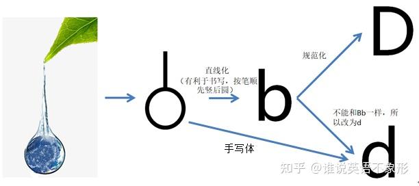 字母Dd的形象和含义 - 知乎