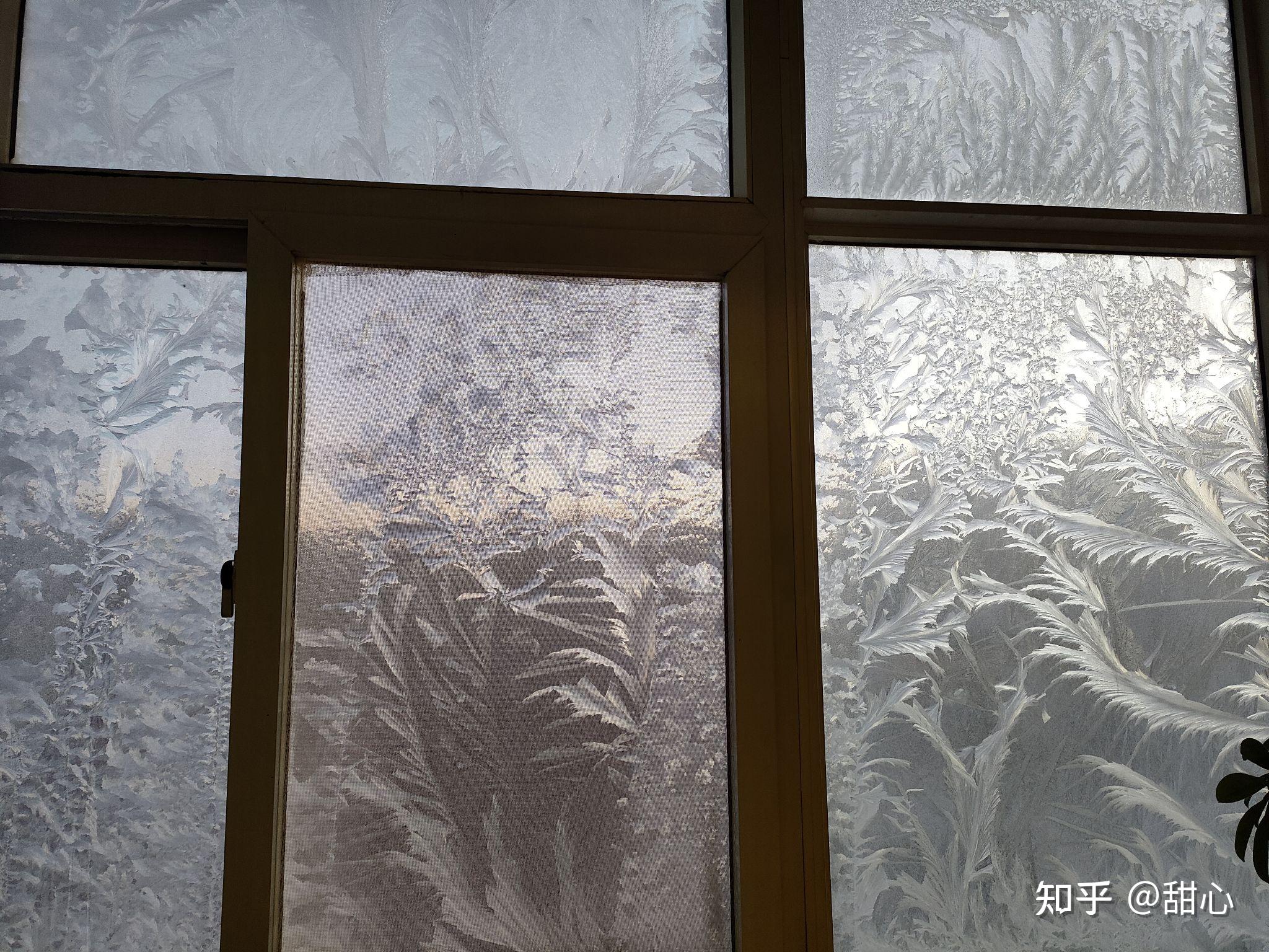 霜花的世界 - 知乎