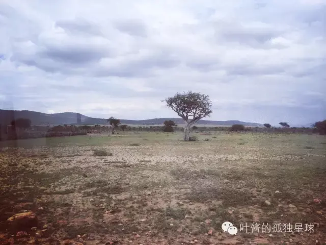 8月的東非,晚上幾乎要披著針織衫,處於高原的埃塞俄比亞首都,最低溫度