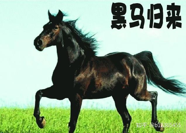 是一匹奔跑的黑色的马,对的就是这个意思 ,股市中的黑马就是这样的,骑