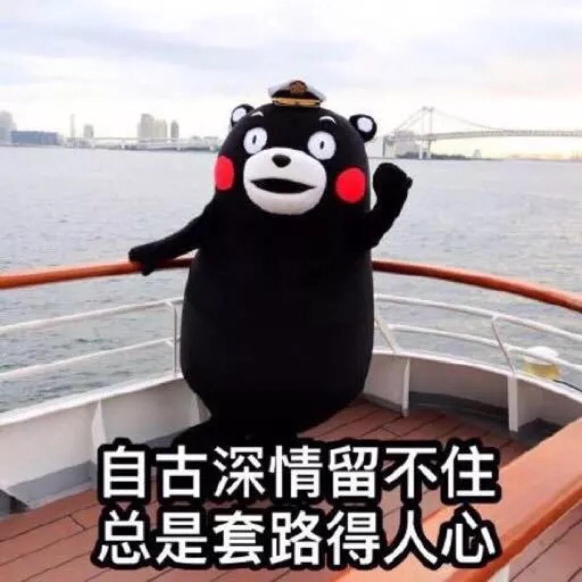 v2-8474808d3bb22bf874fce5b022b26ecf_1440w.jpg?source=172ae18b