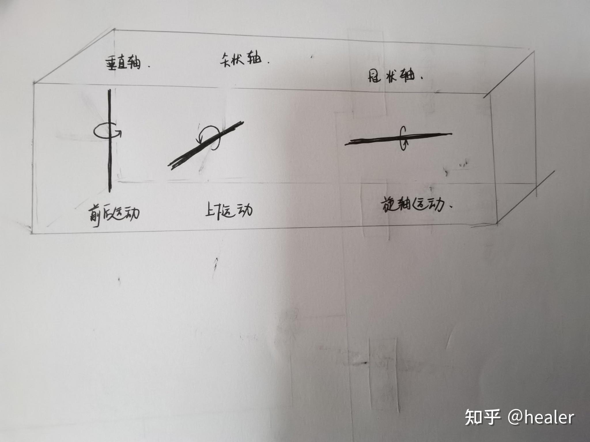 冠状轴运动图片