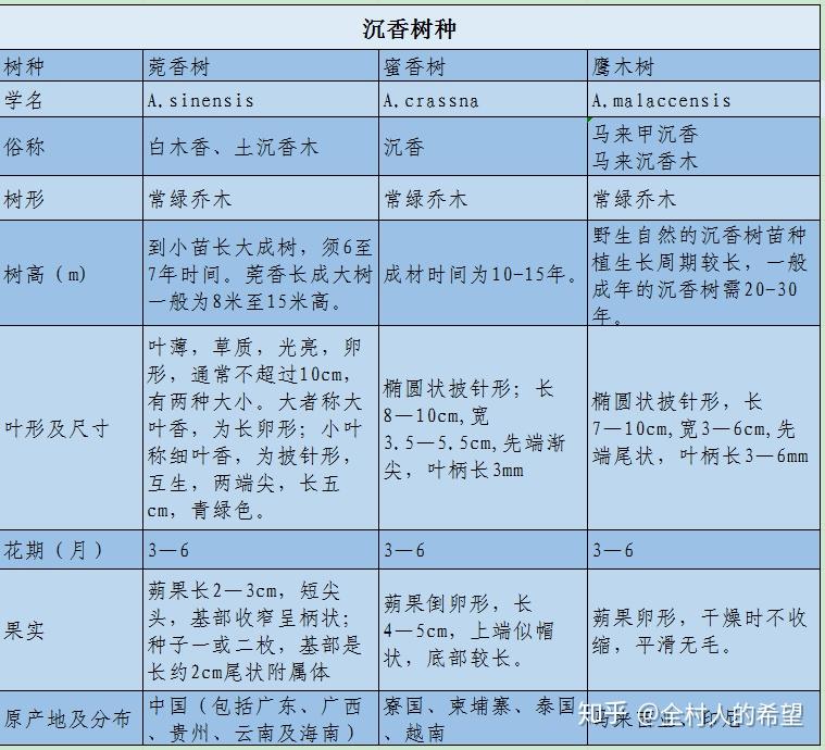 沉香说两大系之分