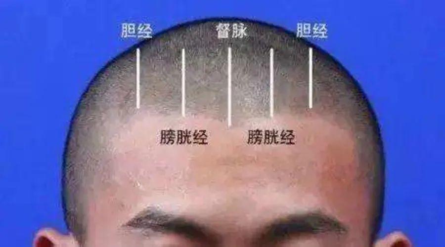 春分节气到,教你缓解春困的养生之法 - 知乎