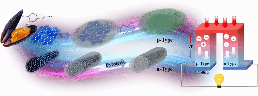 四川大学莫思特贻贝灵感聚多巴胺的新型混合p和n型有机热电材料