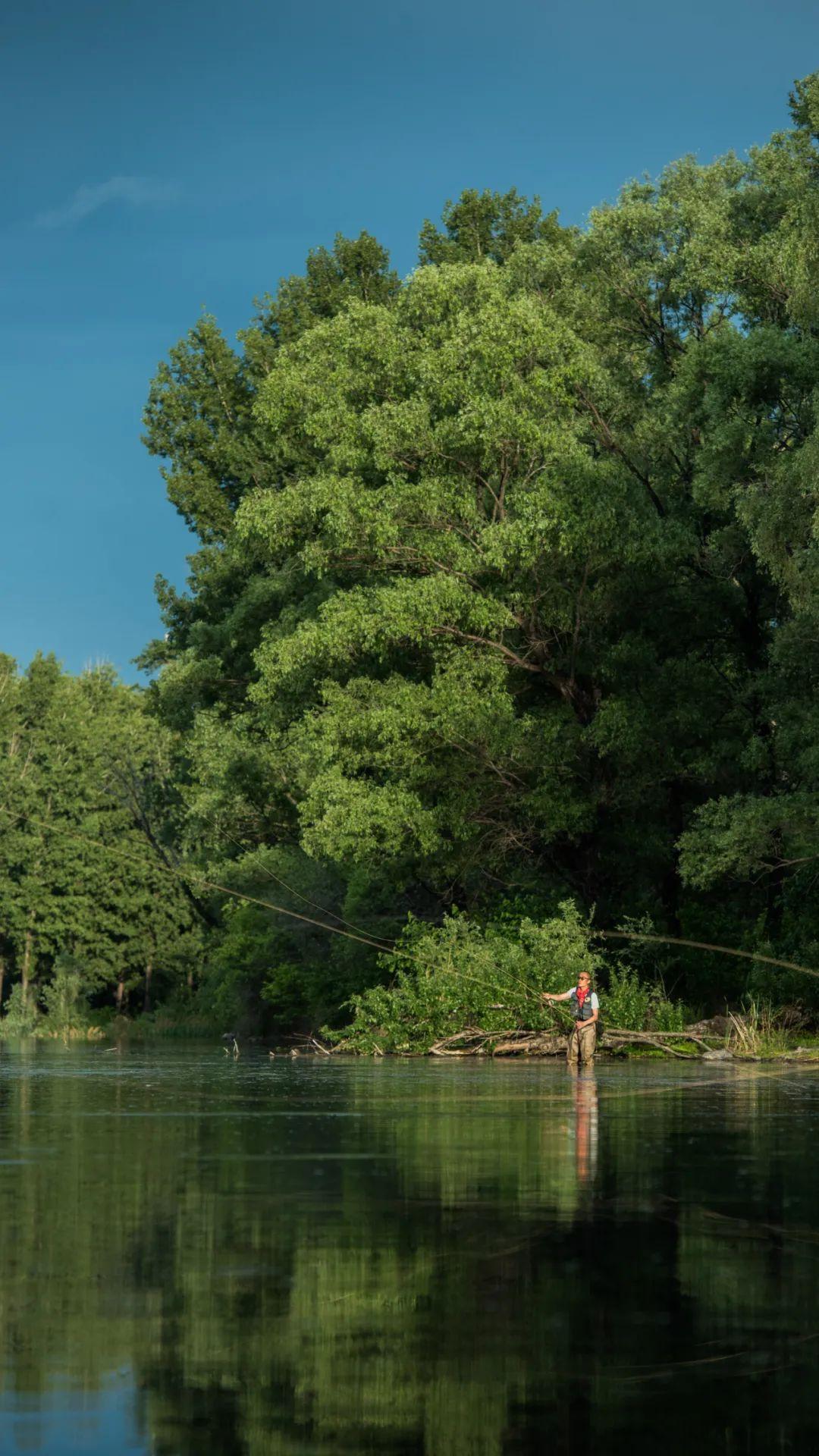 与鱼共舞50张图带你走进flyfishing的世界