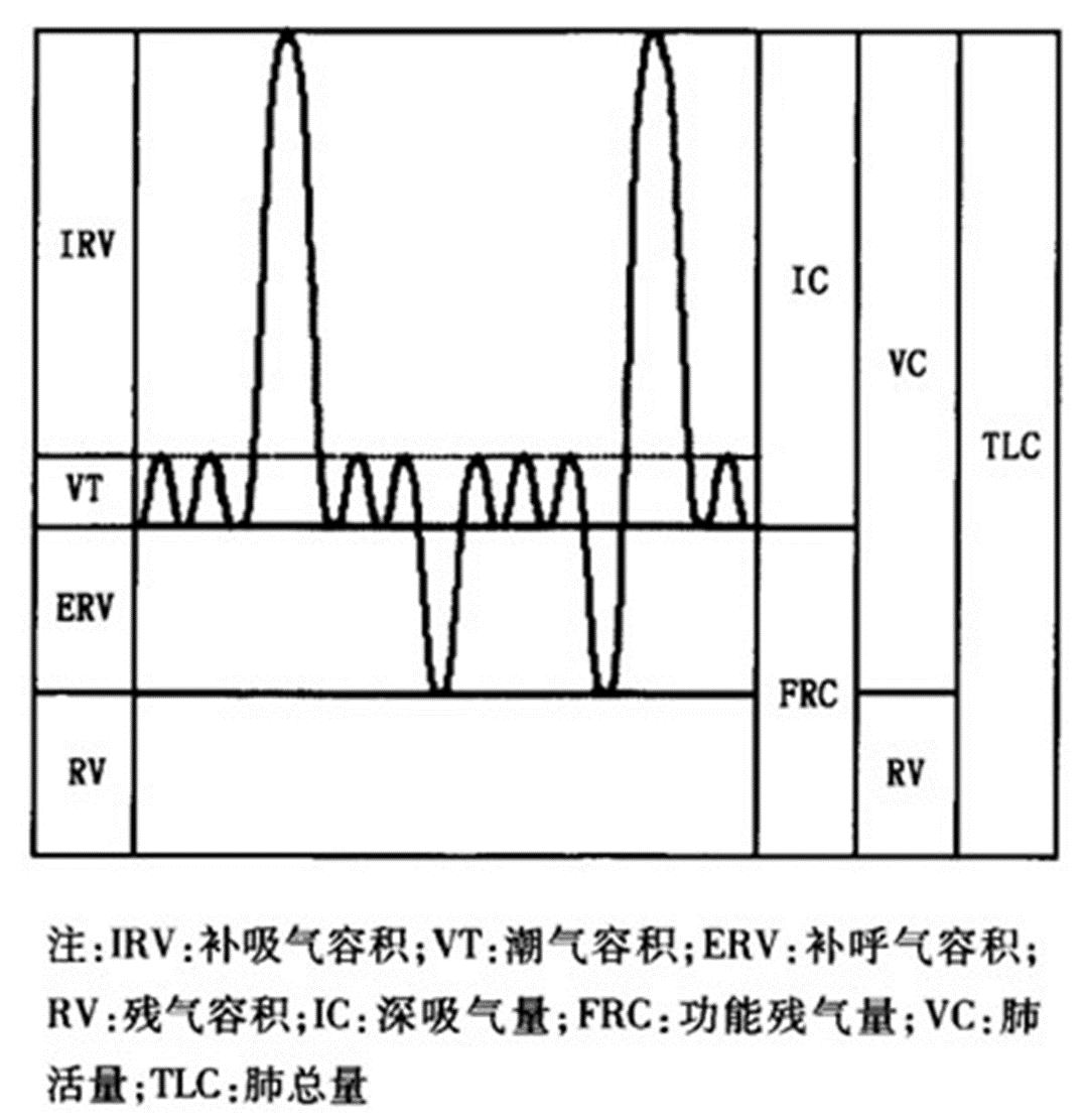 医学气管炎肺炎肺呼吸肺活量深呼吸三维动画_1920X1080_高清视频素材下载(编号:8799708)_实拍视频_光厂(VJ师网) www.vjshi.com