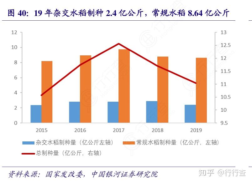 袁隆平超优千号创盐碱地水稻新纪录亩产高达8029公斤