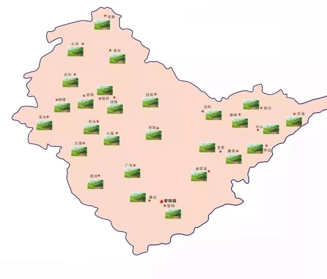 福建之茶丨福鼎白茶茶园分布图
