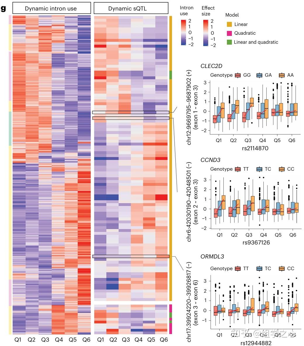 nature genetics | 5' scRNA-seq助力外周血细胞类型特异性剪接分析，确定剪接数量性状位点 (sQTL) - 知乎