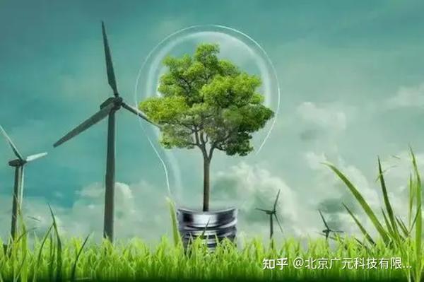 什么是碳汇 - 知乎
