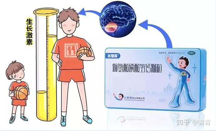 什么情况需要打蛋白质 v2-84fc3142ecedd65a9576c2854b505822_r.jpg