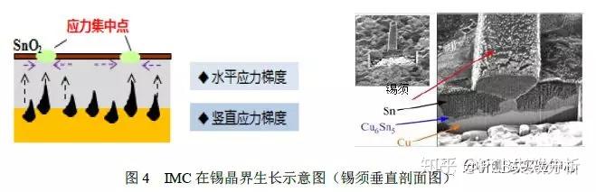 无铅锡须——化学沉锡板锡须生长机理及特性研究 - 知乎