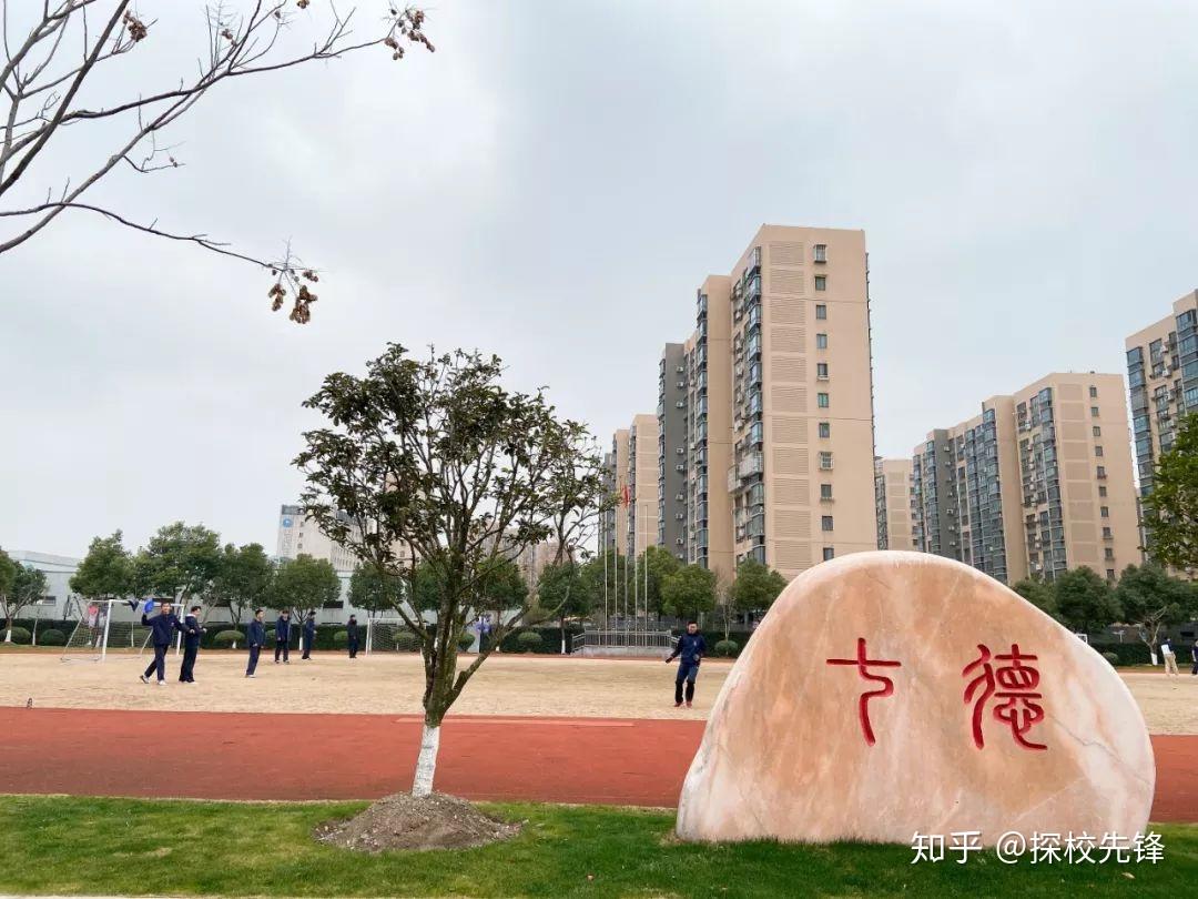 深度对话还原真实的七宝德怀特高中