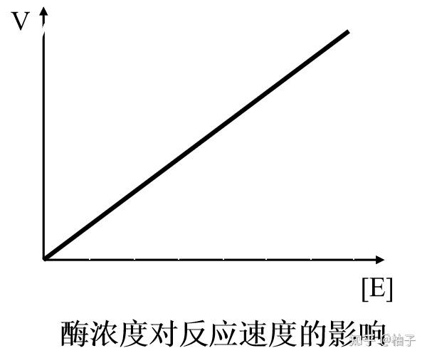 影响酶促反应速度的因素