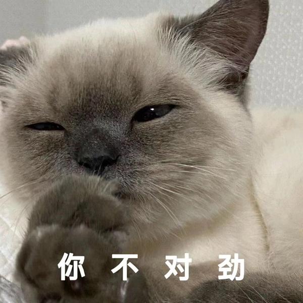 100个可爱表情包 - 知乎