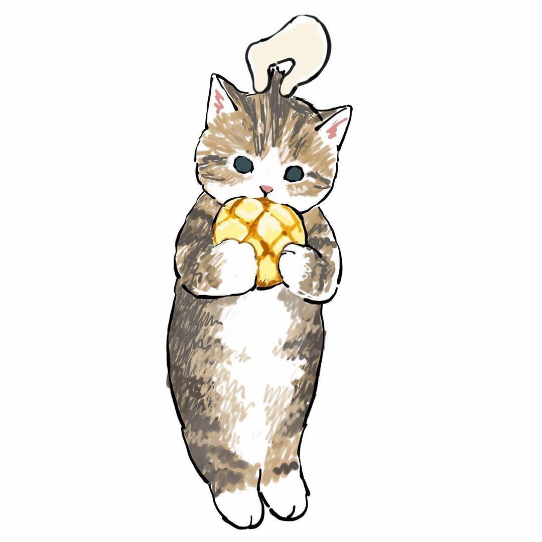 可爱小猫咪 萌宠头像猫猫头像 - 高清图片，堆糖，美图壁纸兴趣社区