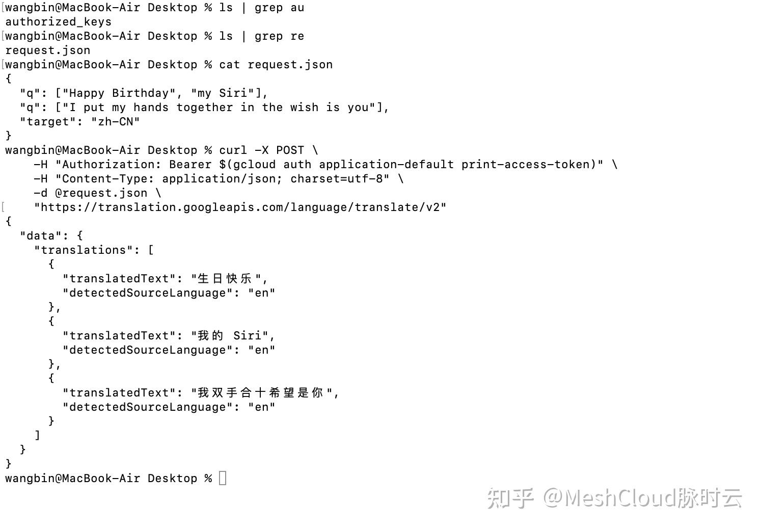 Google Cloud Translation 