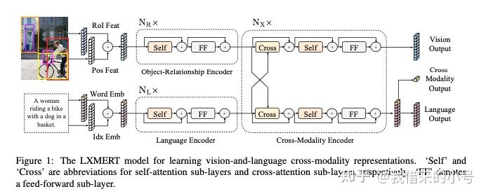 視覺問答lxmert雙路transformer跨模態編碼器結構