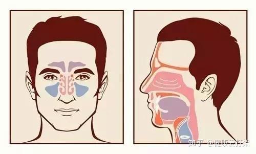 这些症状告诉你,小心鼻咽癌! - 知乎
