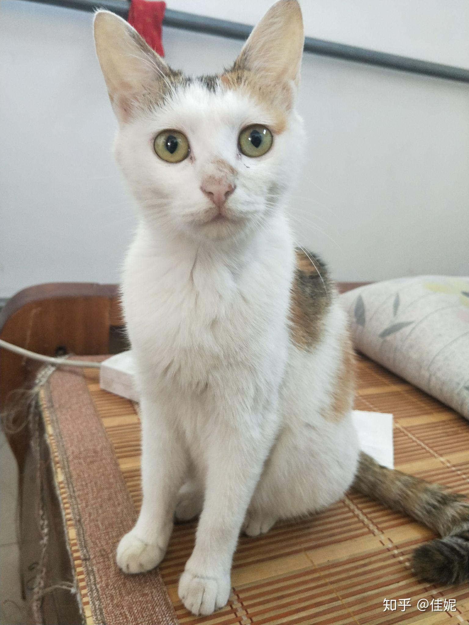 你手机里第26张照片是什么有什么故事