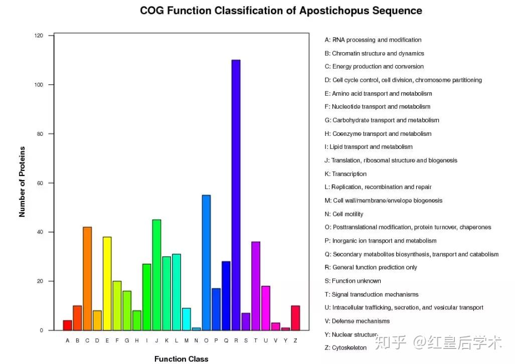 十三水技术分析 v2-8566ad31efd25299f34f80f15edee05a_r.jpg