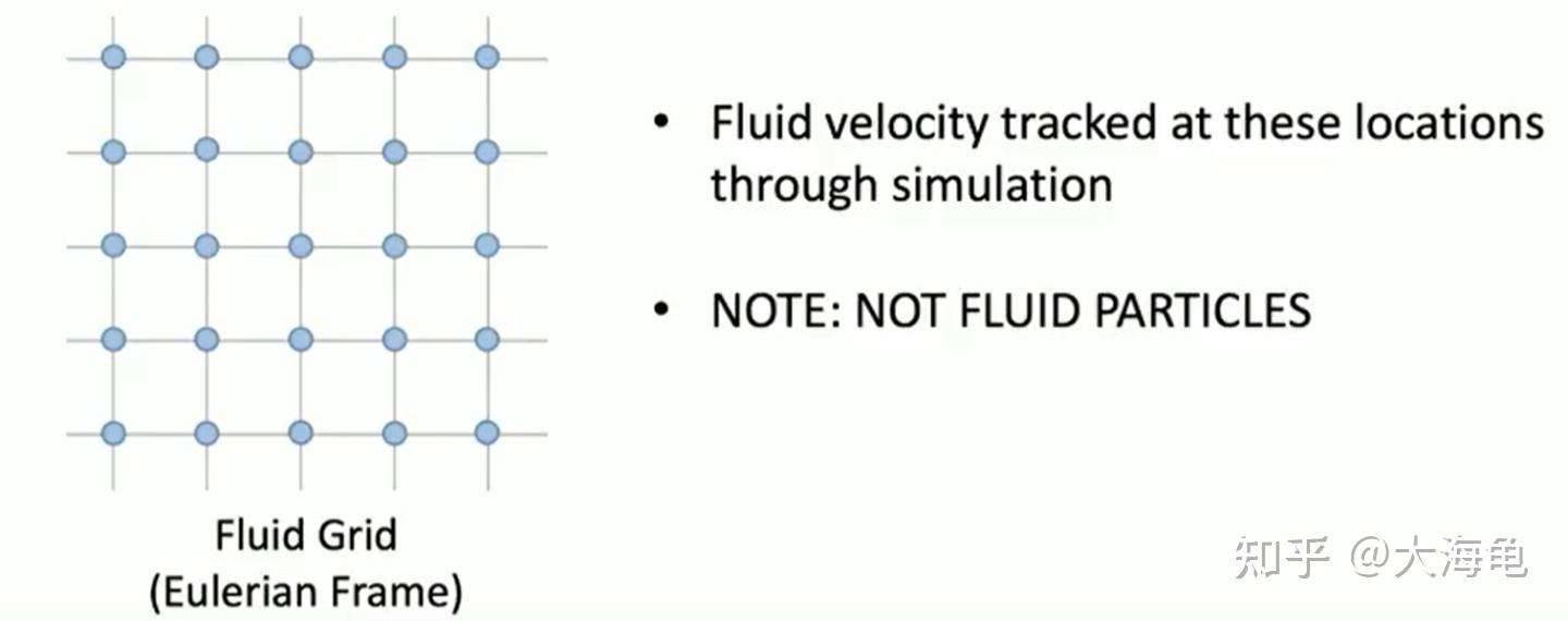  immersed boundary method 