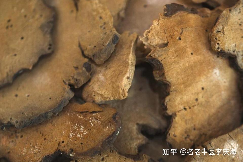 一碗四降汤专降“四高”,高血压高血脂高血糖高尿酸统统降下来 - 知乎