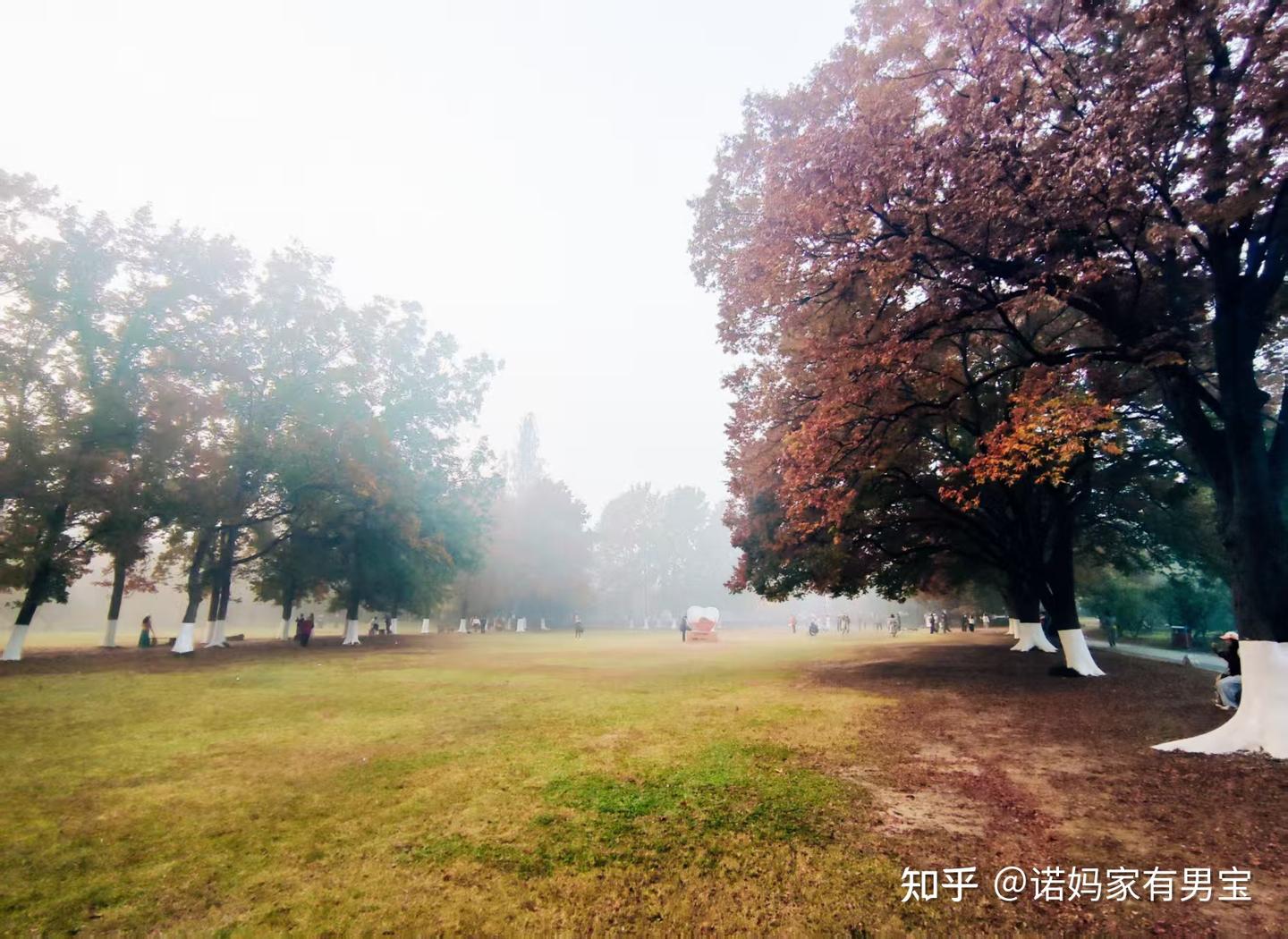 忘带充电宝的南京之旅后,半固态西圣PB-S让我不再遗憾