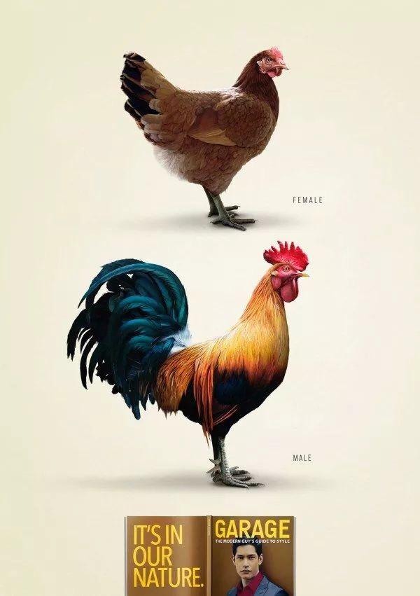 设计中的类比思维与人工智能的图像类比算法 - 知乎