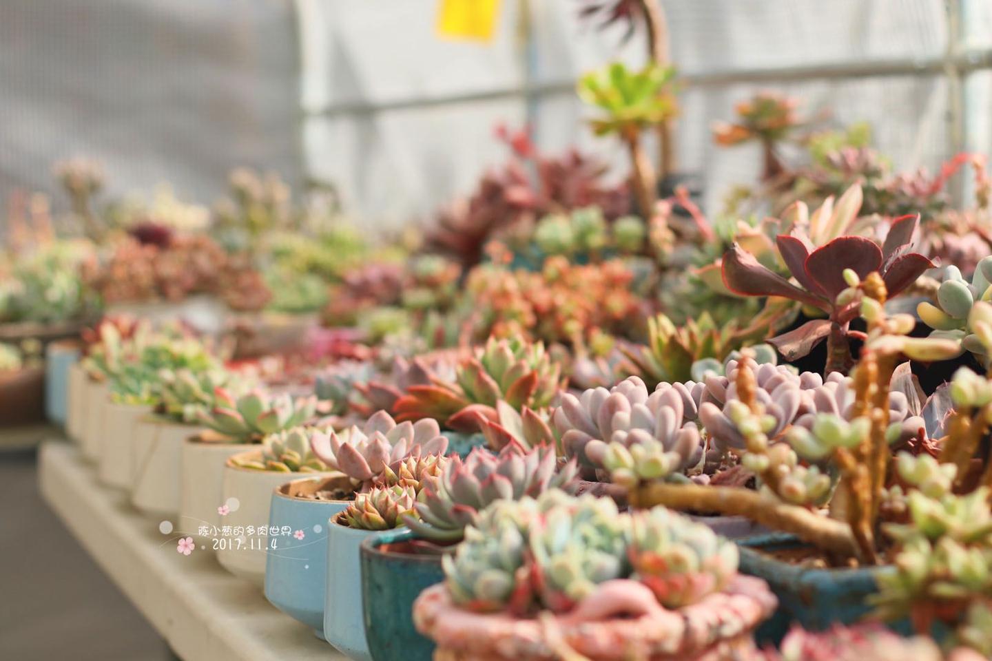 v2-857bbf9369b6faeb784462199e2ac552_1440w.jpg?source=172ae18b