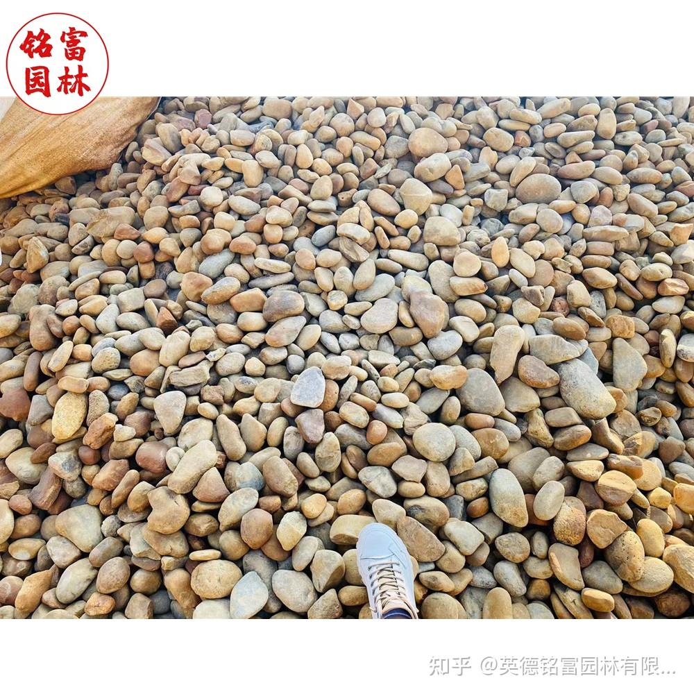 深圳鹅卵石杂色小石子供应