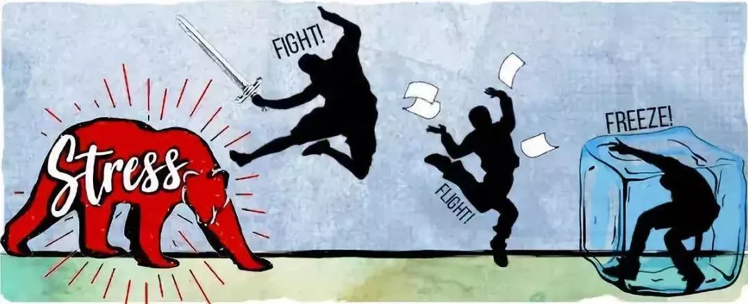 二,杏仁核劫持:战斗还是逃跑?