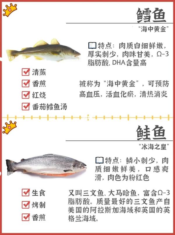 科普:海鱼种类 - 知乎