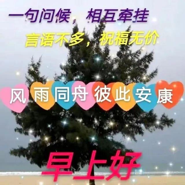 特别漂亮的早上问好表情动态图片,8月最新版大家早上好问候祝福语表情