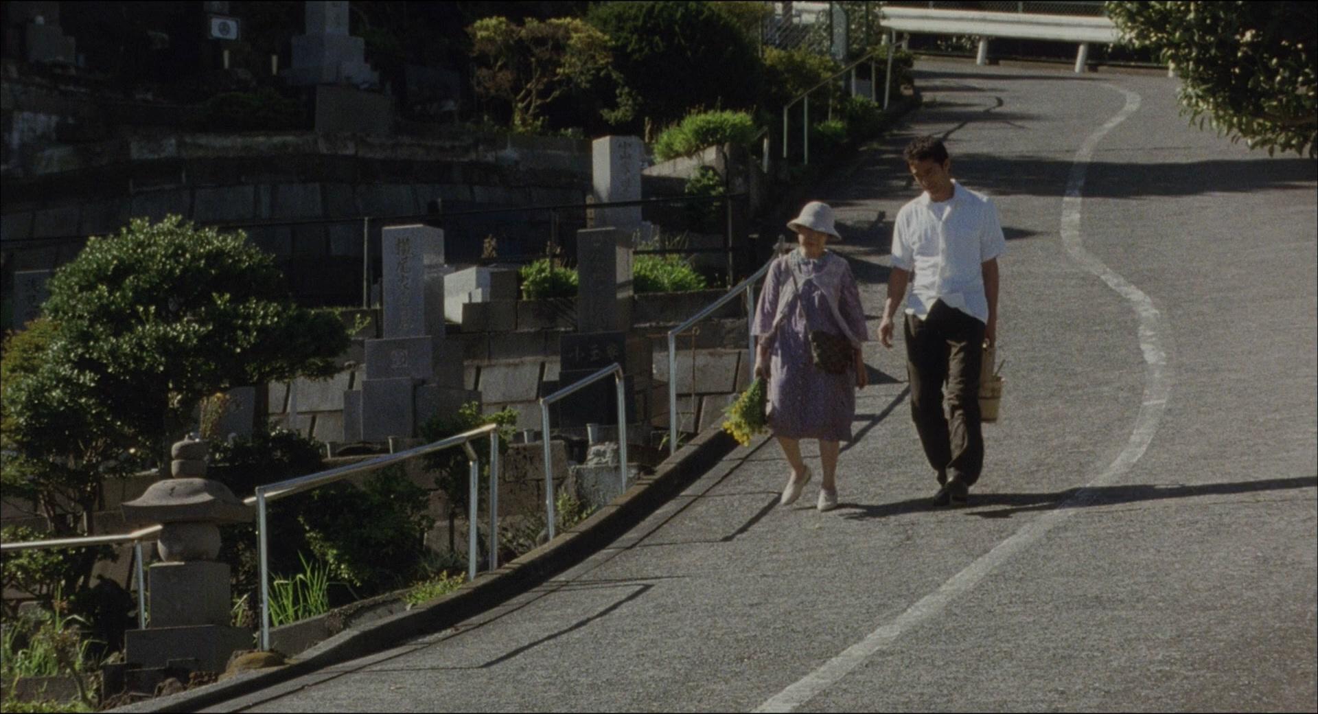 cc标准收藏海报赏析步履不停