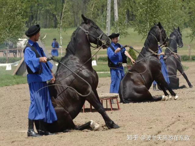 展示驯马技巧驯马师们,女人们穿着打扮的是茜茜看驯马师侧骑,曾经的