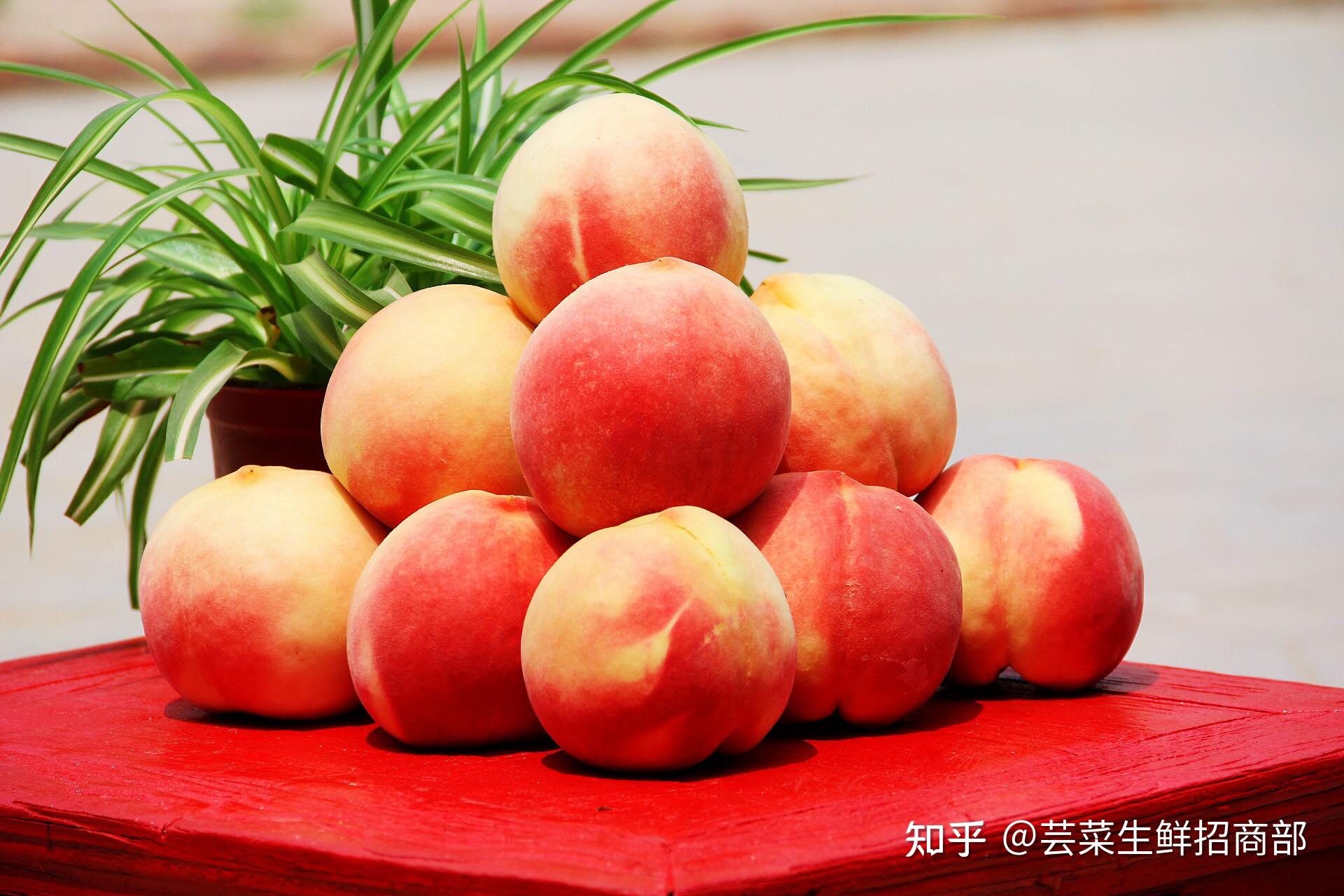 中秋好礼 桃王相伴 深州魁桃 桃中之王