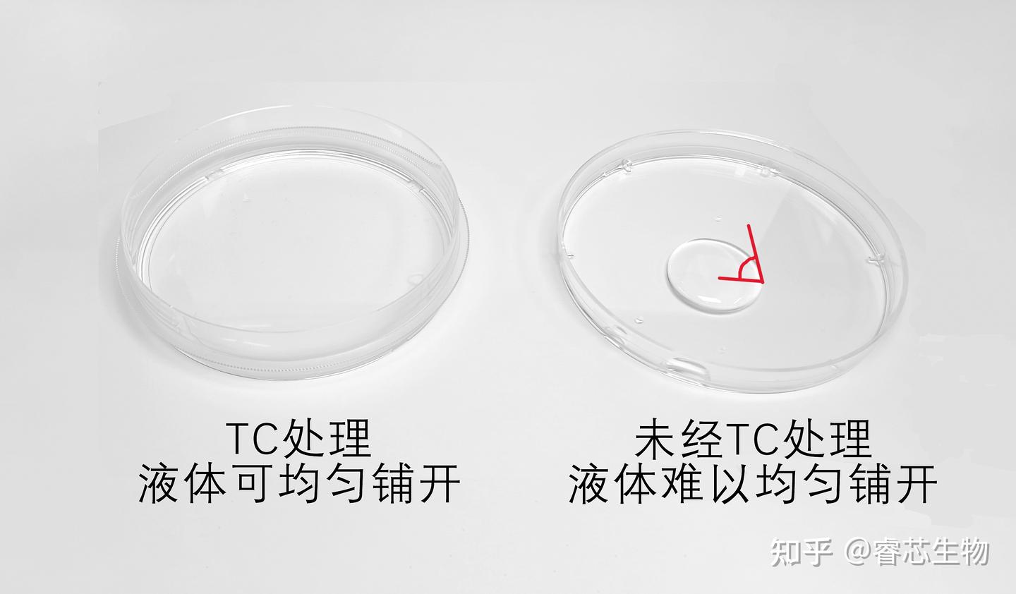 Cell课堂 | 细胞培养容器大揭秘:选对才关键之培养皿篇 - 知乎