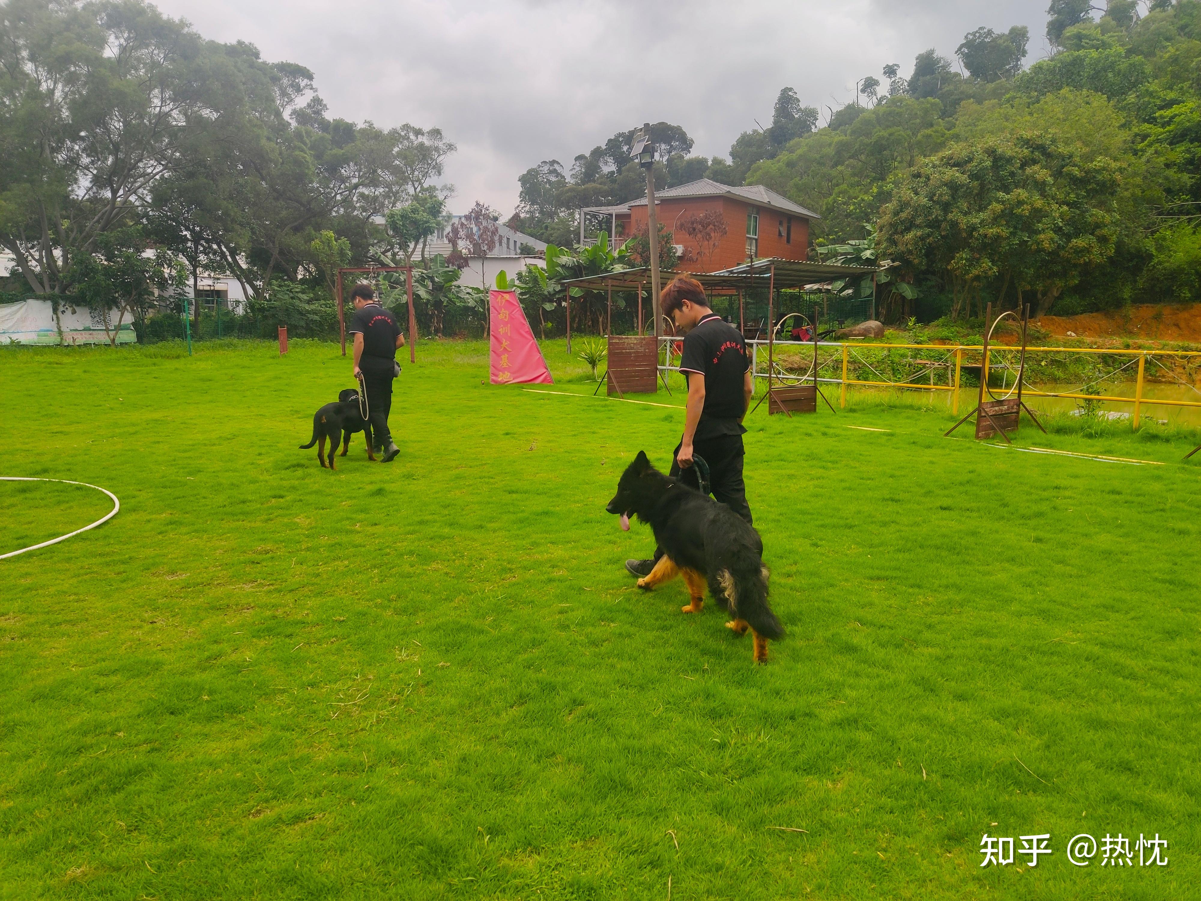 中山市伊甸園訓犬基地專業寵物不良行為糾正,國際ip67686867