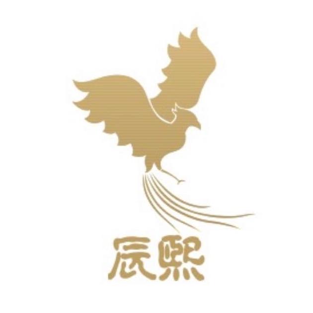 上海辰熙