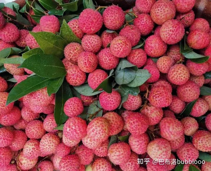 分享一些宝藏荔枝，荔枝怎么保存最新鲜？ - 知乎