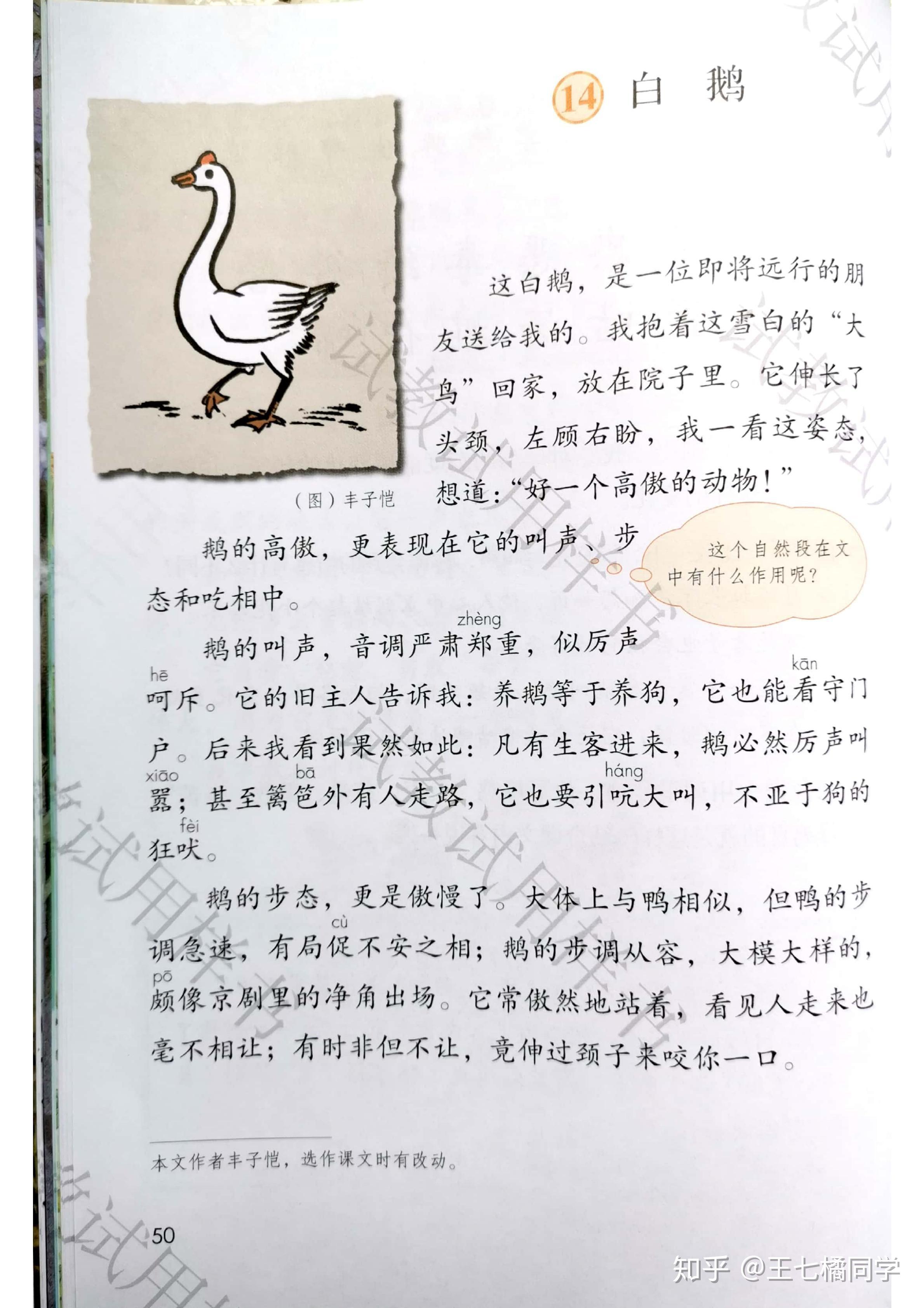 人教部编版小学四年级语文下册电子课本(家教必备电子教材)(四年级下册语文电子书人教版部编版)