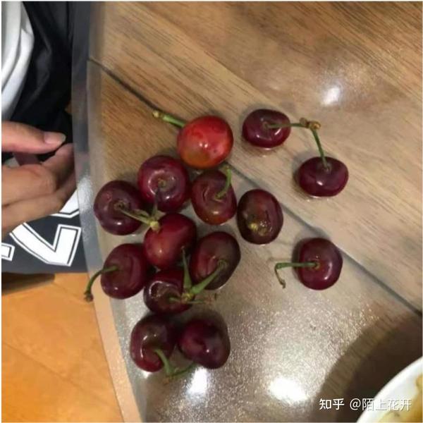 从营养价值到烹饪用途