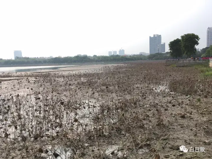 佛山周边有哪些适合一日游的好玩地方?