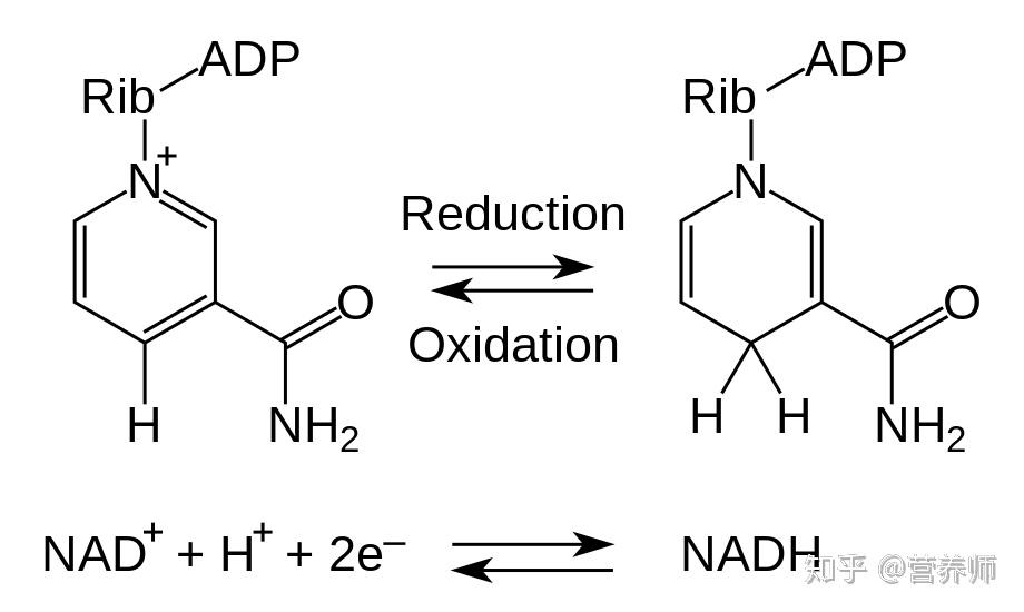 nadh-nad