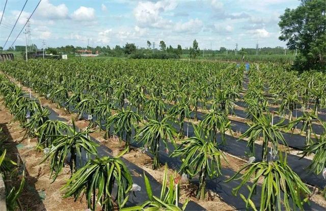 v2-86166435290eb52bb8b125154a2fca12_1440w.jpg?source=172ae18b